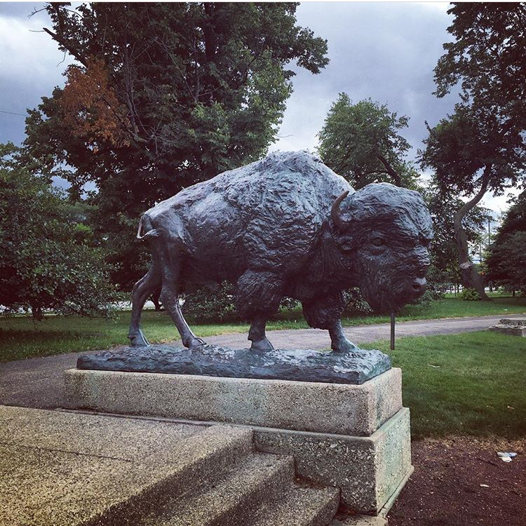 large buffalo sculpture