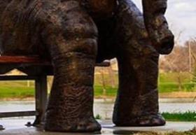 The Feet of Large Elephant Statues