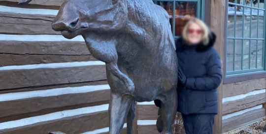large outdoor sculpture moose
