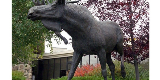 Bronze sculpture moose