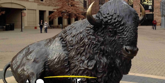 Monument Bronze statue American bison
