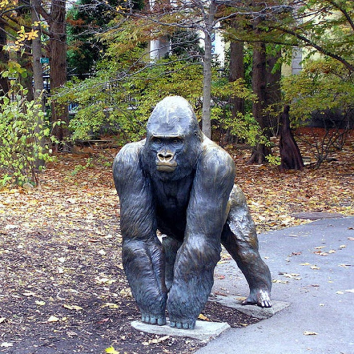 Chimpanzee bronze statue