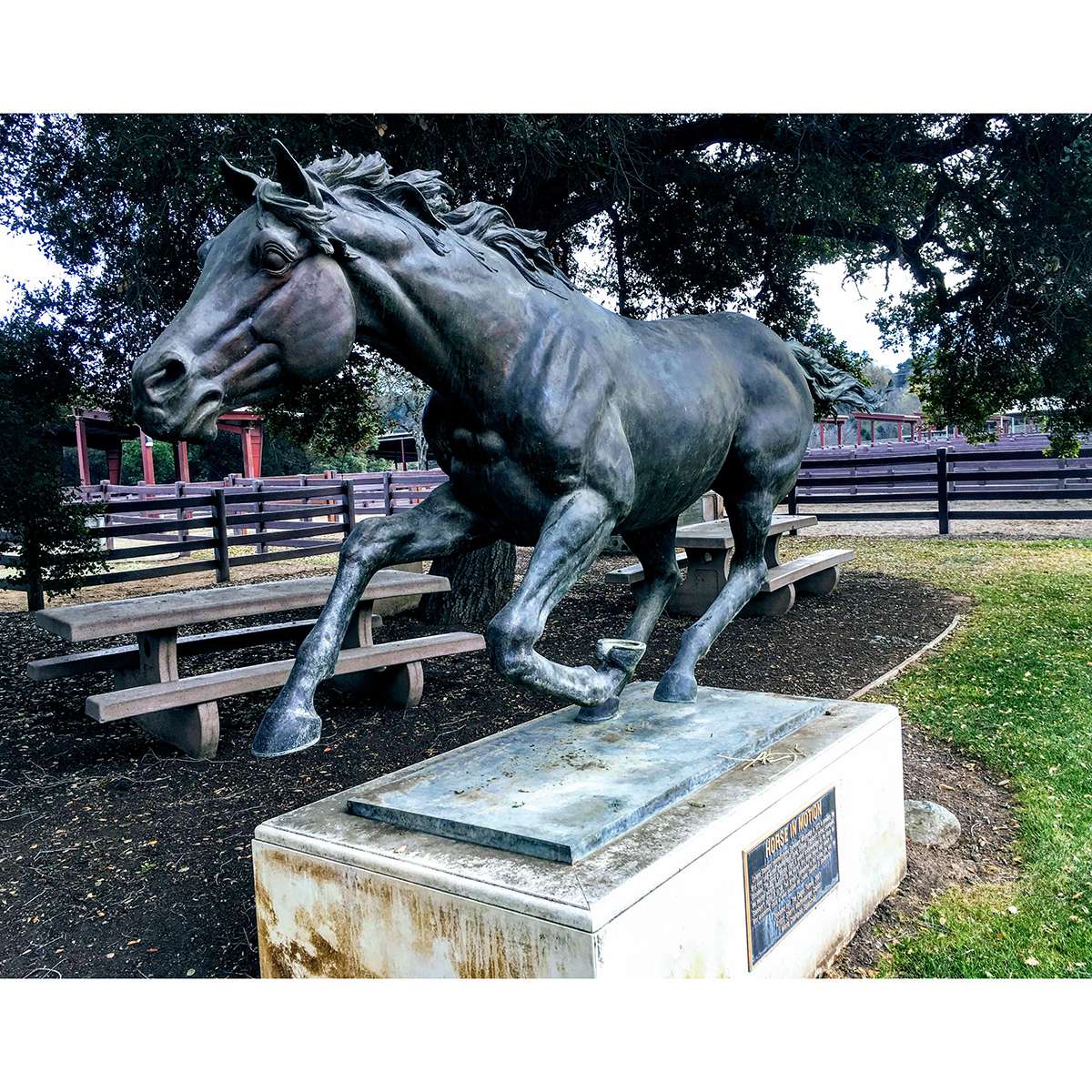 Copper sculpture of horse