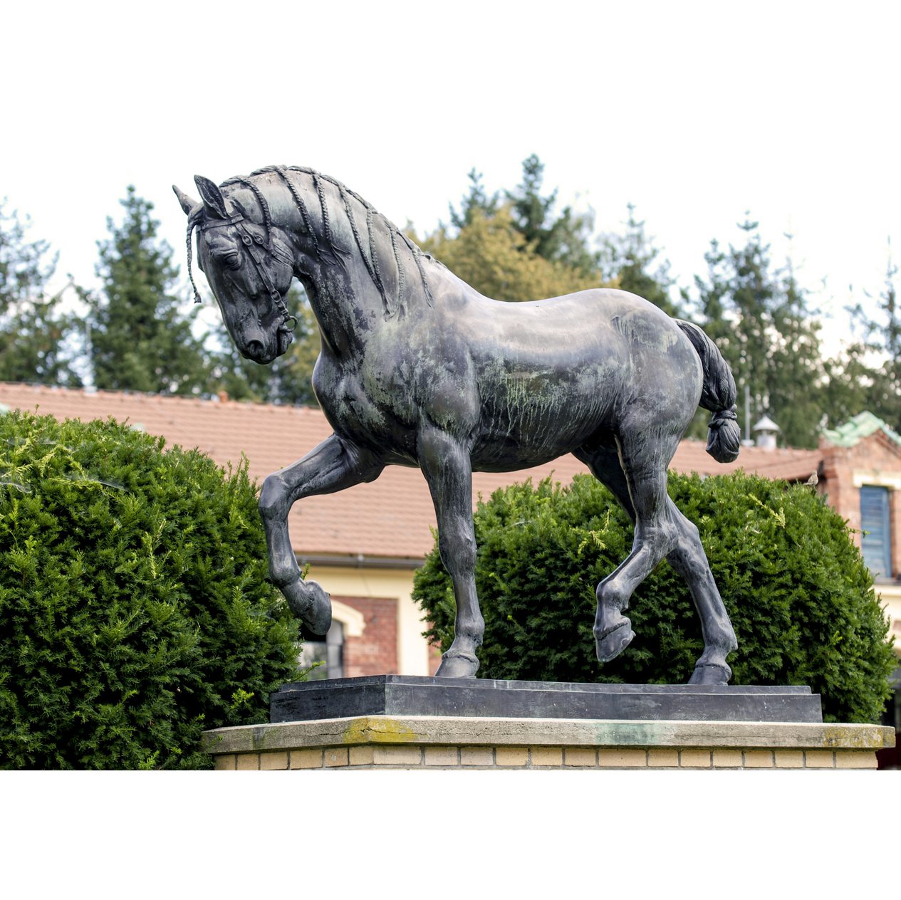 Statue horse bronze