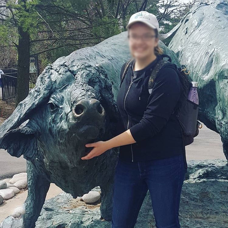 Buffalo life size sculpture