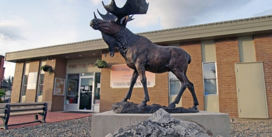Moose garden statue
