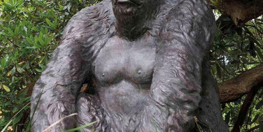 Large bronze gorilla