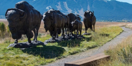Bronze bison statue for garden