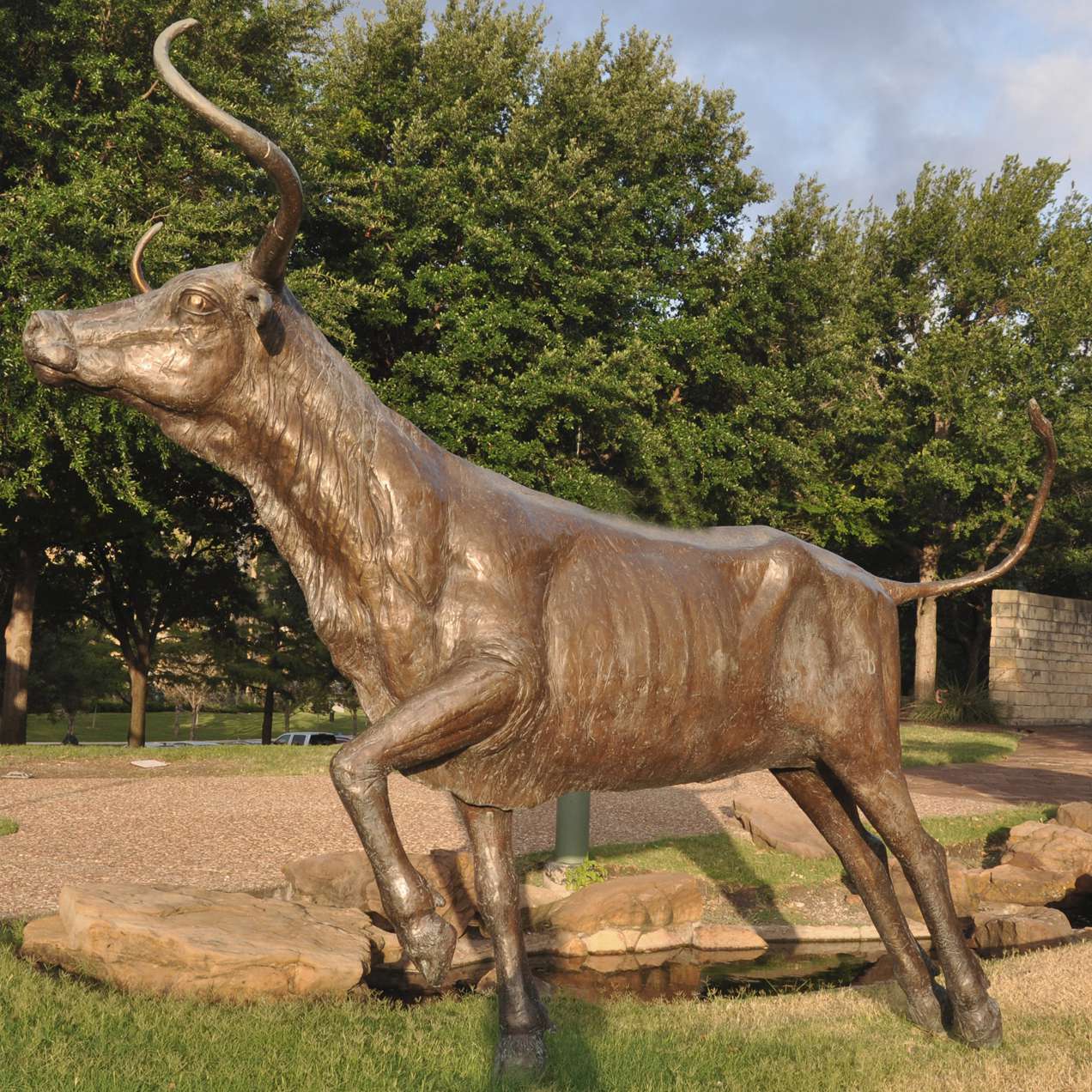 Longhorn bronze sculpture