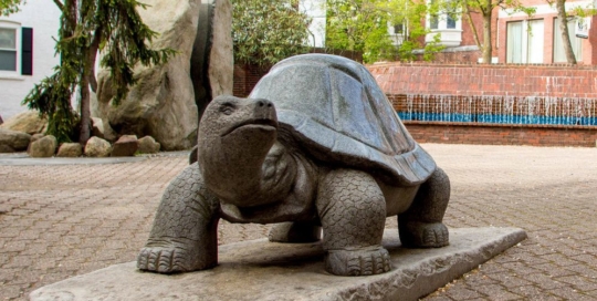 Marble tortoise statue with pedestal