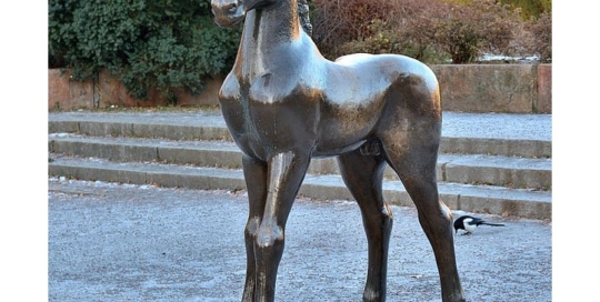 Statue horse colt sculpture artwork bronze