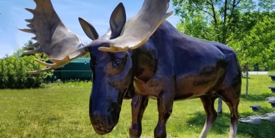 Statue moose