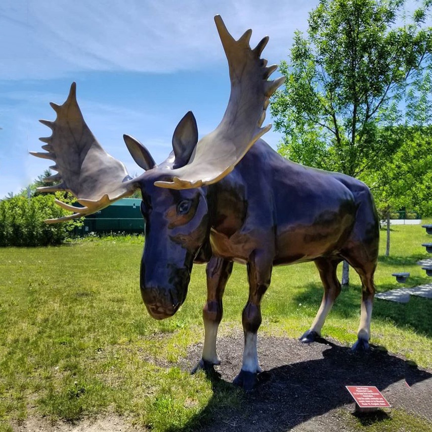 Brass moose statue
