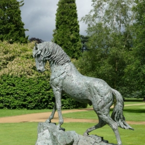 Hamish mackie horse sculpture