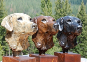 Labrador three dogs head