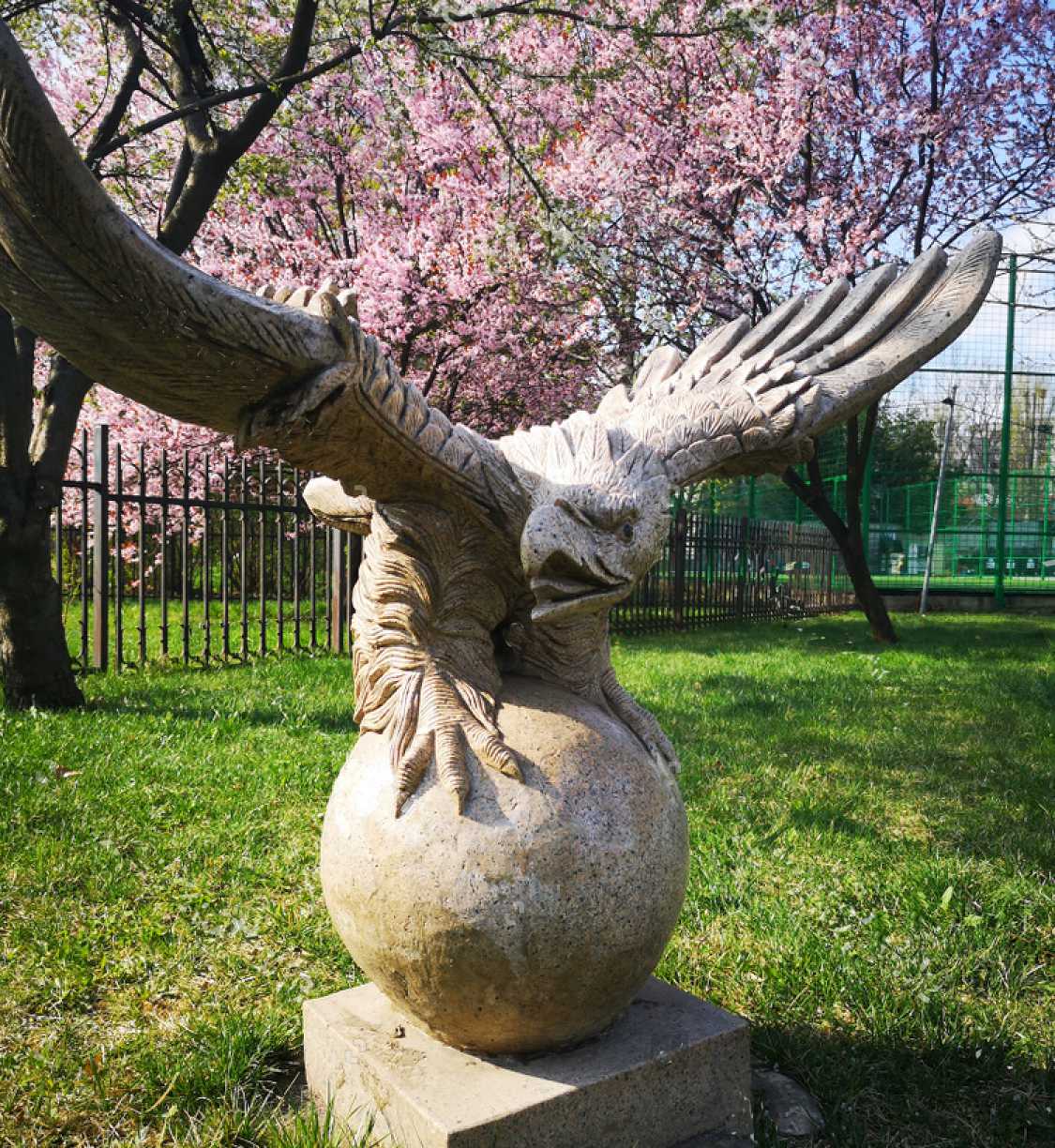 Statue of eagle in park
