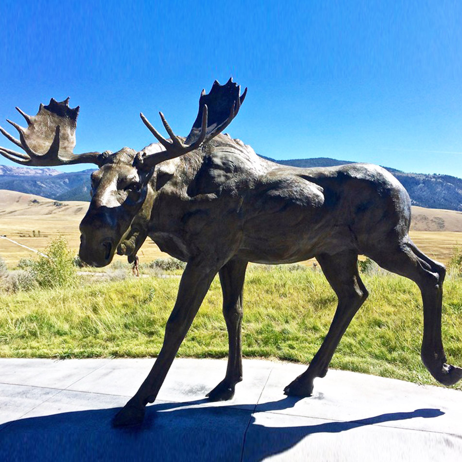 bronze sculpture moose