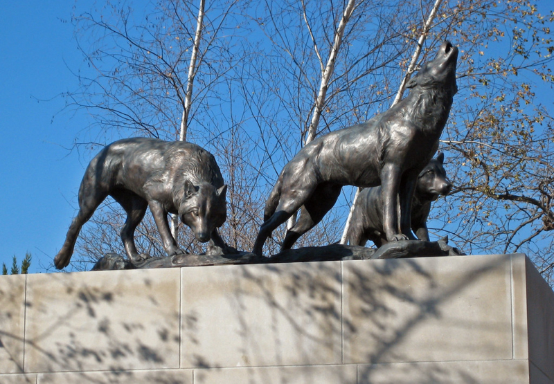 bronze wolf life-size statue