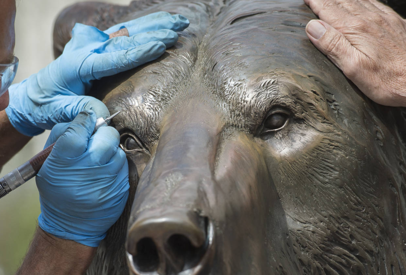 detail of life-size bear bronze sculpture