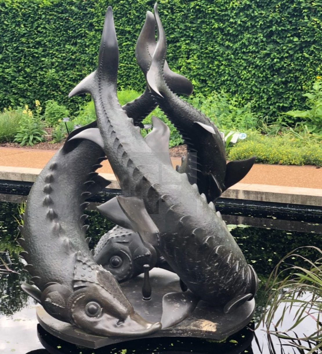 Outdoor Fishes Fountain