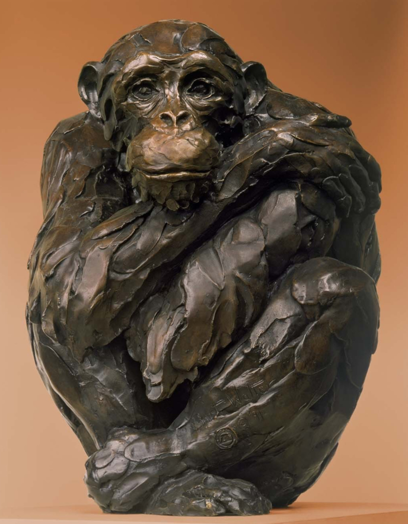 Animal Contemplation Chimpanzee Bronze Sculpture by Bart Walter