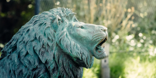 Art shop hot selling artificial carved vintage lion statue for outdoor decoration
