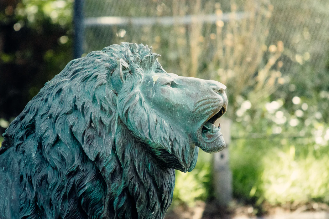 Art shop hot selling artificial carved vintage lion statue for outdoor decoration