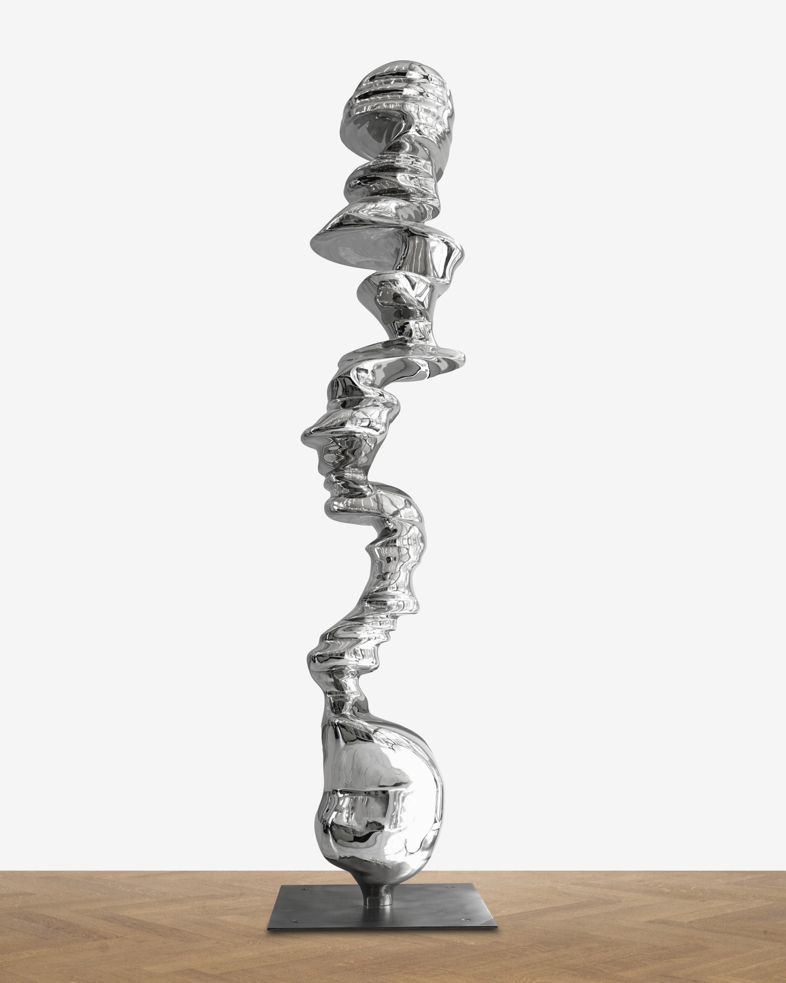 Stainless Steel Tony Cragg Art