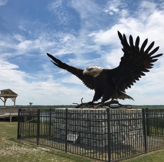 bronze eagle 1