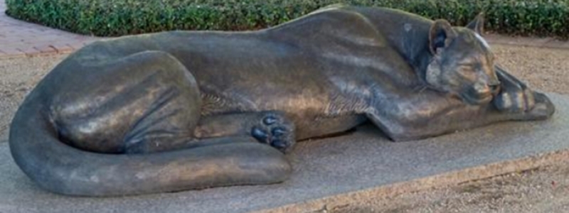 Sleeping Panther from Downtown Fort Worth (2)