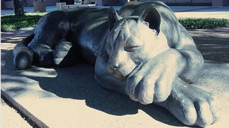 Sleeping Panther from Downtown Fort Worth (3)