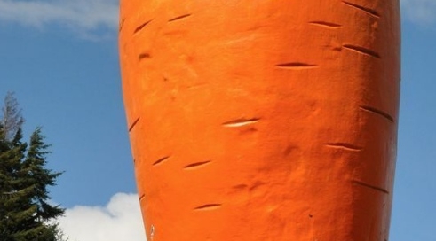 fiberglass carrot sculpture