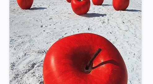painted stainless steel apple statues on the beach